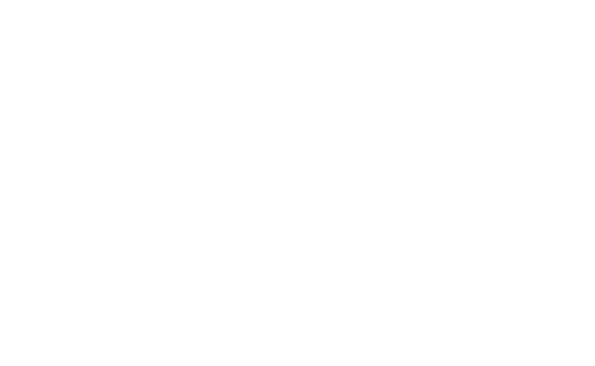 Palmieri Trading